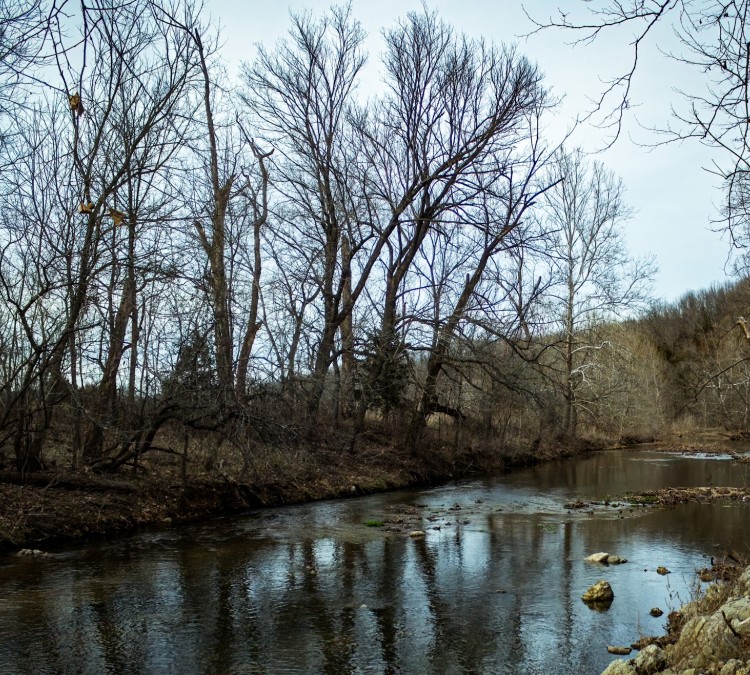 calebs-creek-park-photo